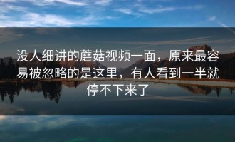 没人细讲的蘑菇视频一面，原来最容易被忽略的是这里，有人看到一半就停不下来了
