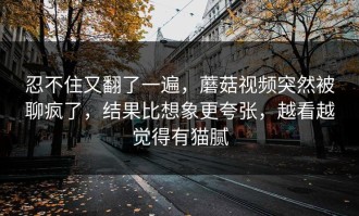 忍不住又翻了一遍，蘑菇视频突然被聊疯了，结果比想象更夸张，越看越觉得有猫腻