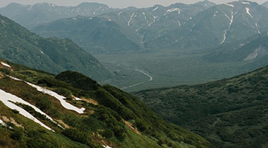 蘑菇影视官网最容易被忽略的那一步，偏偏决定了后面的体验，越看越觉得有猫腻