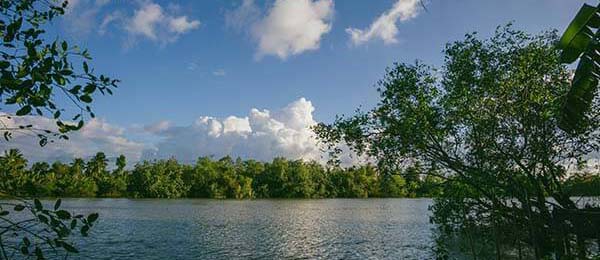 蘑菇影视官网这事被讨论成这样不是没原因，表面像结束了，其实真正的悬念才刚开始